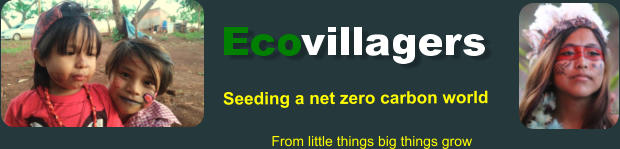 Seeding a net zero carbon world From little things big things grow